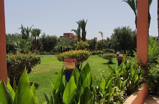 Very large and beautiful palm villa for large groups