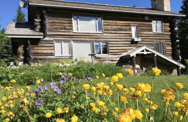 View! Secluded,Brief 10 minute drive to town, Family Friendly Log Home