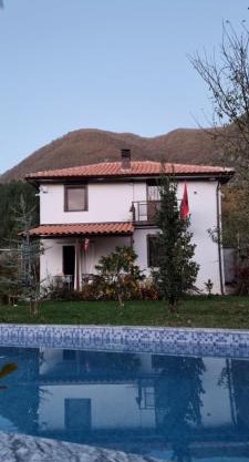Vila elektra