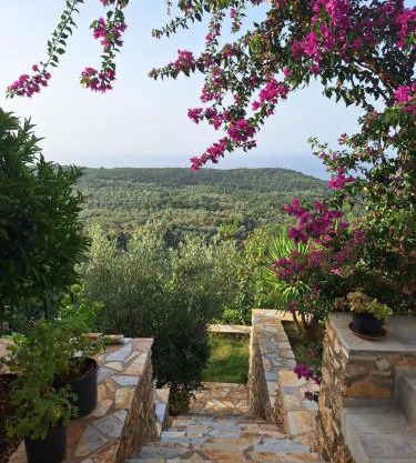 Vila Tatjana
