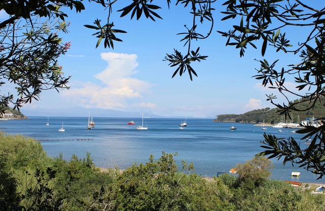 VILLA 50 meters from sea, private garden, parking, air conditioning, 5G internet