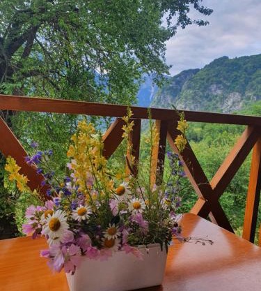 Villa Davisol