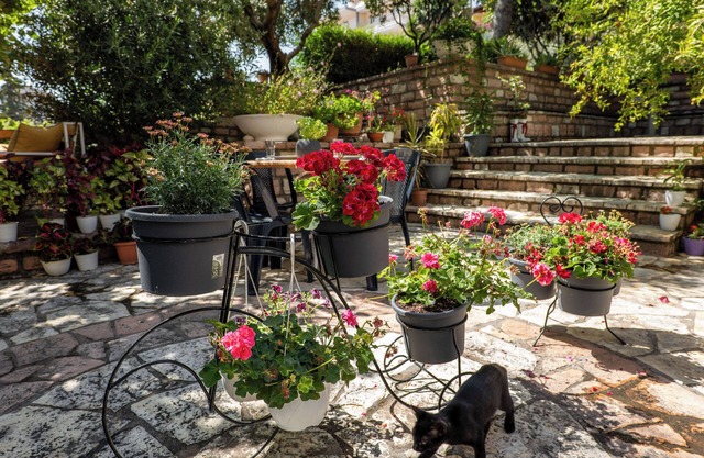 Villa Green Garden
