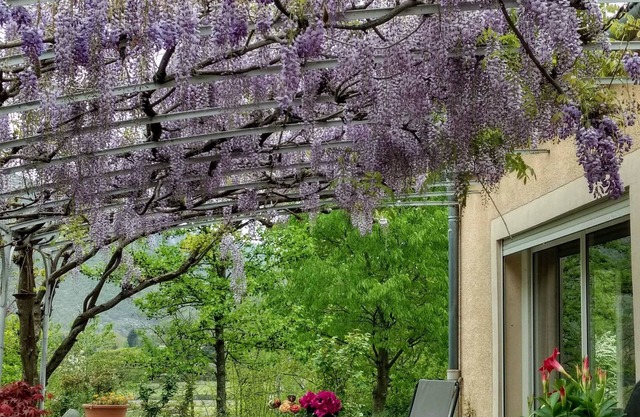 villa in Cévennes near Le Vigan accessible for disabled people