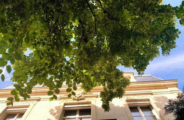 Villa Lepois & Spa 5 *