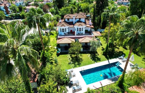 Villa Misli - red/green