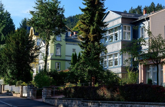 Villa Regina "Waldblick" - quiet vacation apartment with a view of the forest