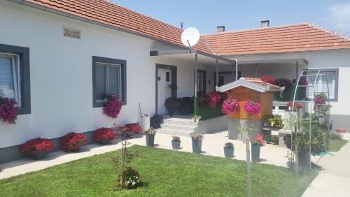 Villa Ruža