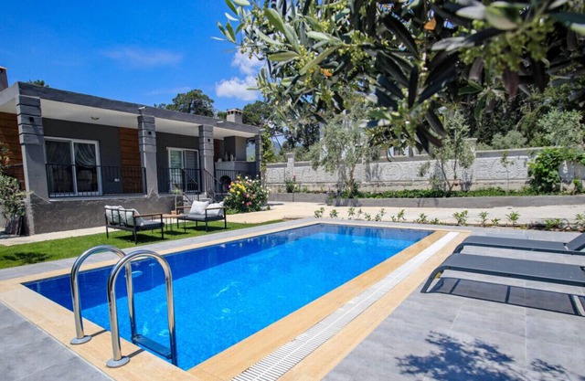 Villa with Private Pool Surrounded by Olive Trees