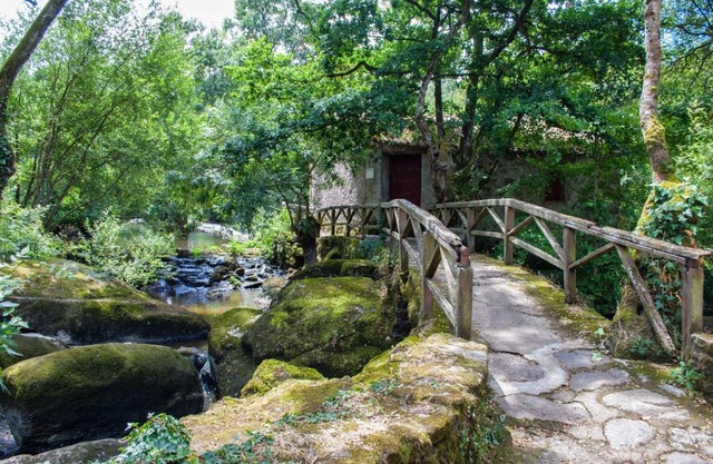 Village de Gîtes du Moulin Neuf