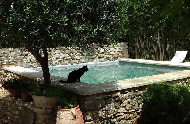 Village house 10 minutes from Avignon