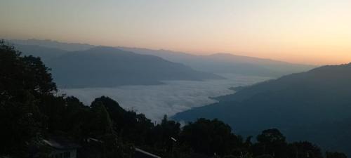 Village Peace Homestay