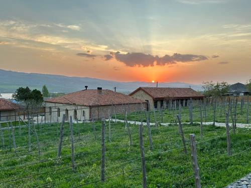 Vineyard Cottages