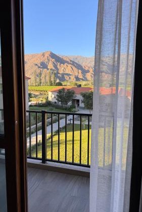 Vista Montañas y Viñas