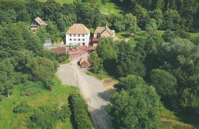 Vosges Balloons and wine route