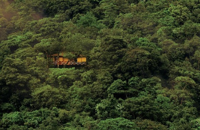 Vythiri Resort