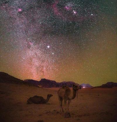 Wadi Rum Hiking &camp
