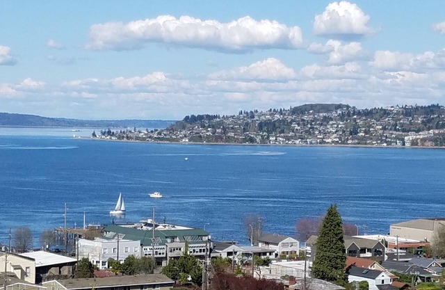 Watch Ships Come into Port from Bed-