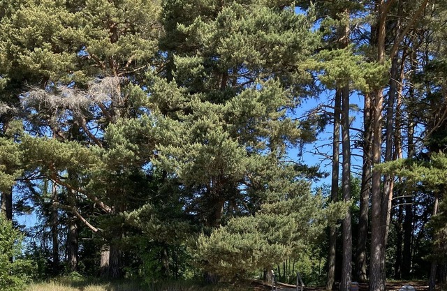 Waterfront accommodation for 2 people. Relax in this peaceful accommodation.