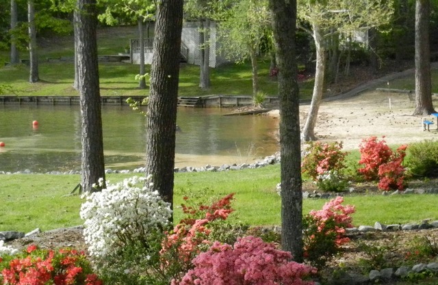 Waters Edge Family House