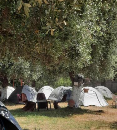 Waveside Camping