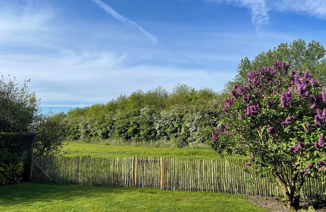 Welcome to Duynlandt, a place of tranquillity near the beach of De Haan