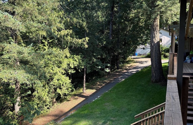 Welcome to “Spruce” at The Cedars