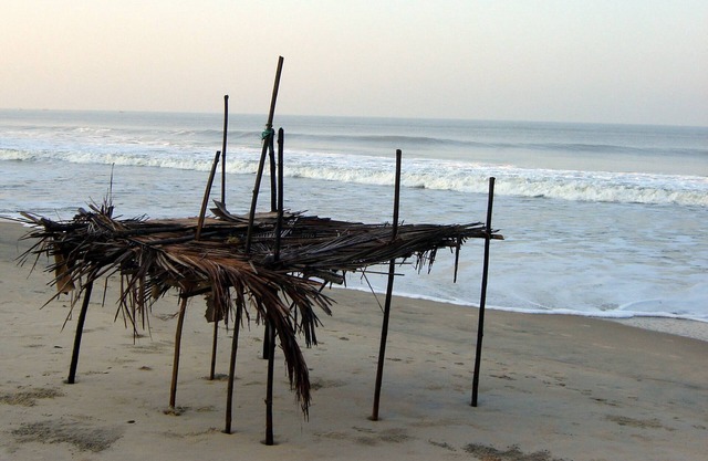 Well appointed Row Villa In South Goa with Swimming Pool