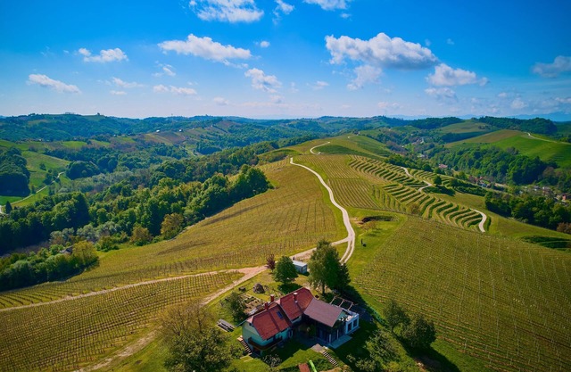Wellness Vineyard Cottage Marjan, Ljutomer, Slovenia