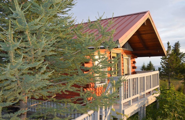 Whiskey Point Cabins & RV Park