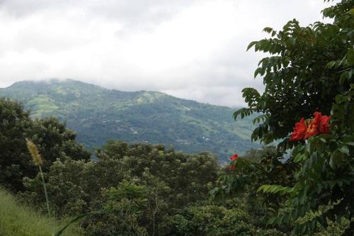 WIFI AC parking Serene, Relaxation in Escazu