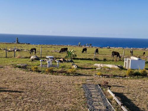 Wild Coast Grosvenor Holiday Home