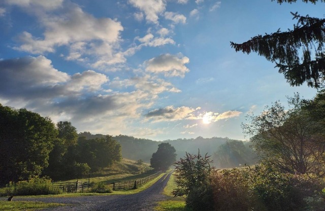 Wild Wonderful Primitive Cabin in WV, Get back to nature, fresh air, wildlife.