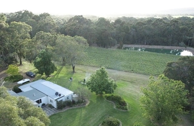 Wisteria Vines Estate