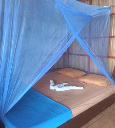 Wobbegong Homestay