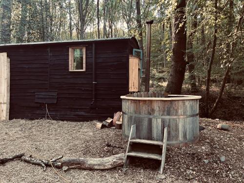 Wyre Forest Glamping