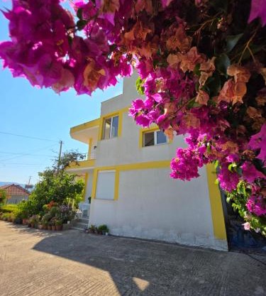 Xhemi's Home&Garden