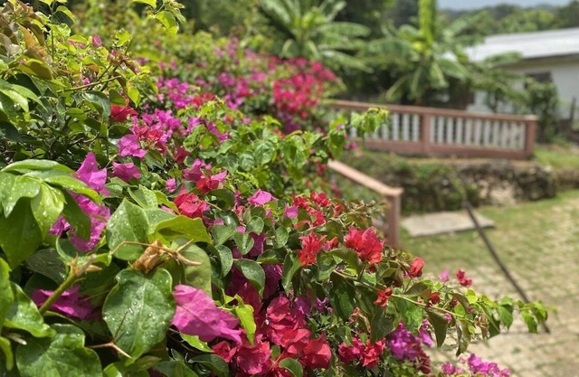 YanceyLargo-6BR Two-Story Estate w/Mountain Views by RedAwning