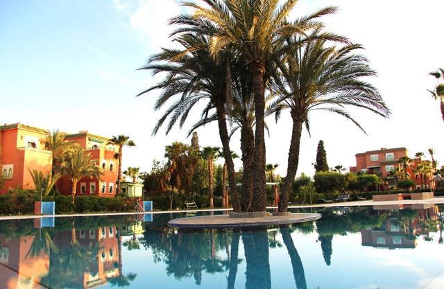 Your happiness in the heart of the palm grove