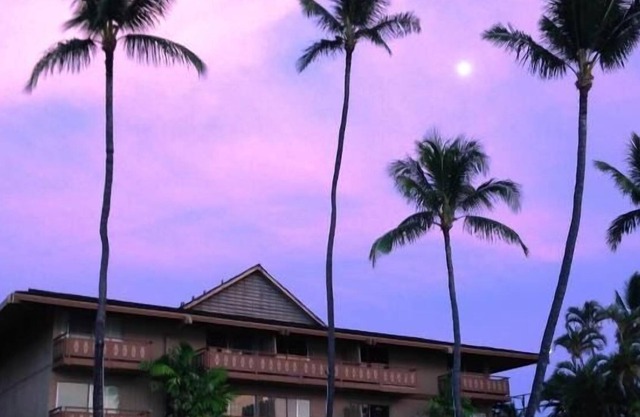 Your Hawaiian Adventure Awaits! 2 Relaxing Units, Water Activities, Parking!
