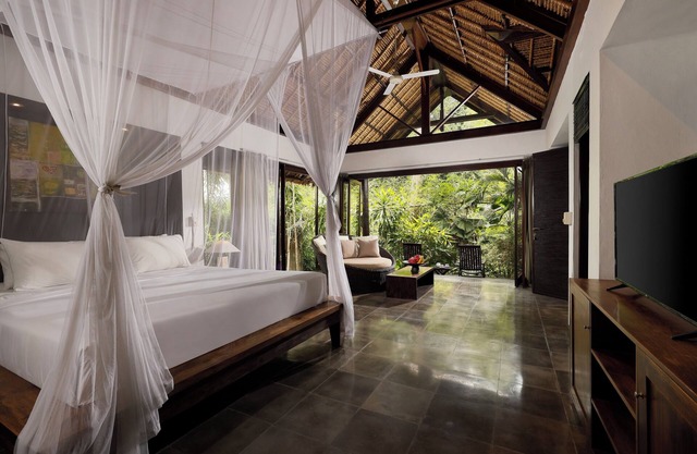 Your Private Suite in a Jungle Sanctuary