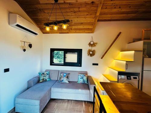 Yucca tiny house