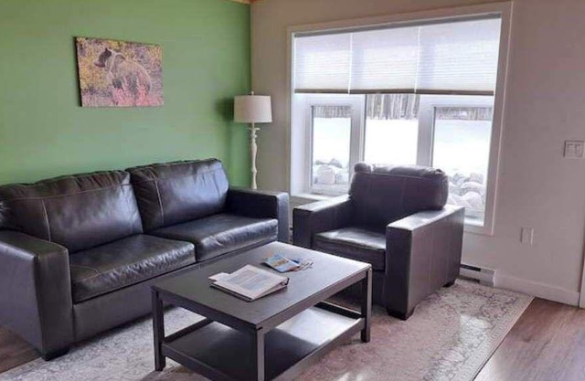 Yukon Hot Springs Suite #36