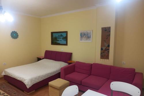 Zana's Apartment