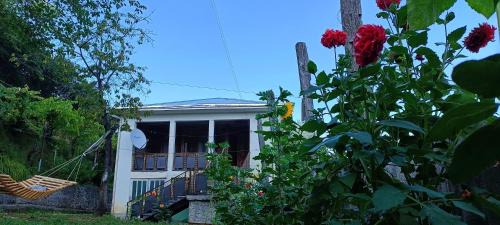 Zesopheli guest house in Keda Agro & Eco tourism
