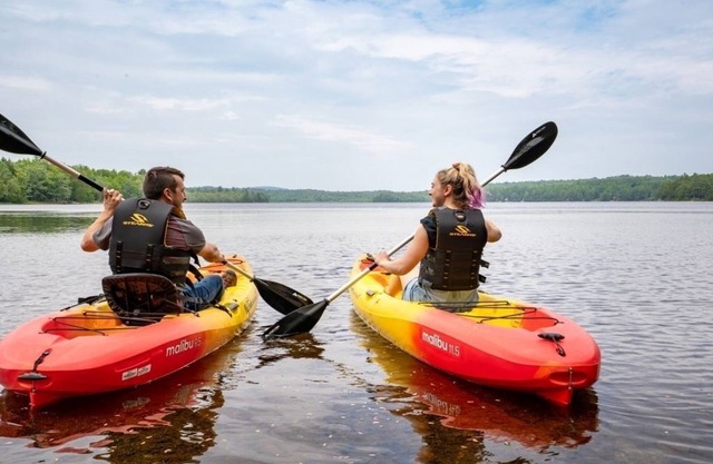 Zeus's Landing at Cottages of Maine Gradual beachfront, King Beds, Dog Friendly