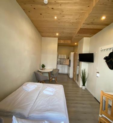 Marktbreit Apartment | Öko Lehmbau direkt am Main