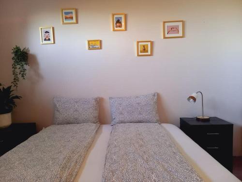 Akureyri Apartment | Þòrsmörk farm 12 min from Akureyri