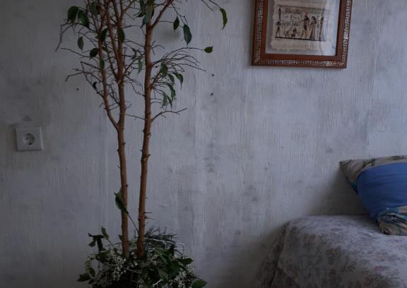 Plavnieki Apartment | Īstermiņa randiņu tikšanās vieta