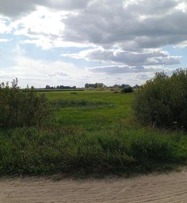 Hajnowka Other | ŁĄKA NA WYŁĄCZNOŚĆ NA PODLASKIEJ WSI HAJNÓWKA BIAŁOWIEŻA namiot, biwak, kemping